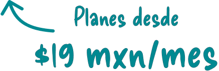 Planes desde $19 mxn